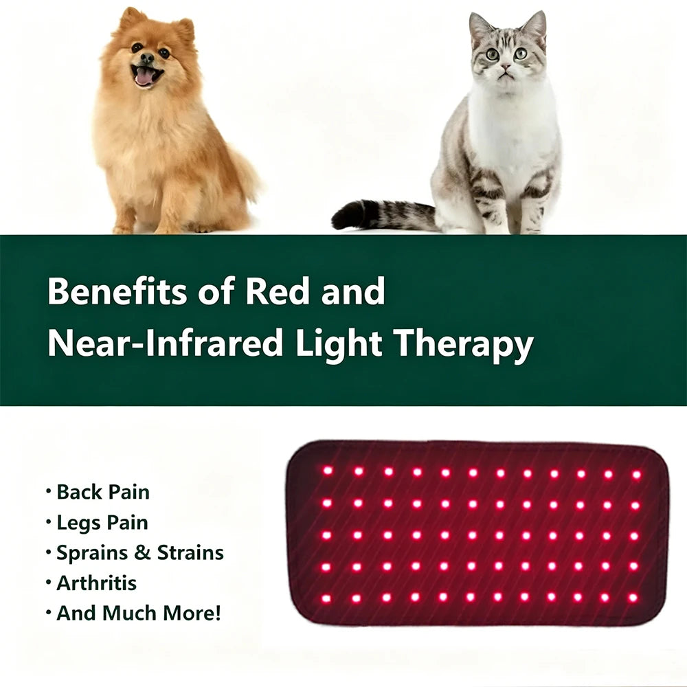 PawComfort™ Red Light Belt