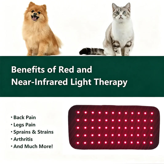 PawComfort™ Red Light Belt